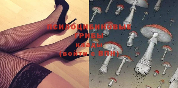 твердый Куйбышев