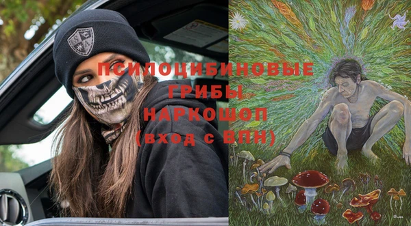 соль ск Кулебаки